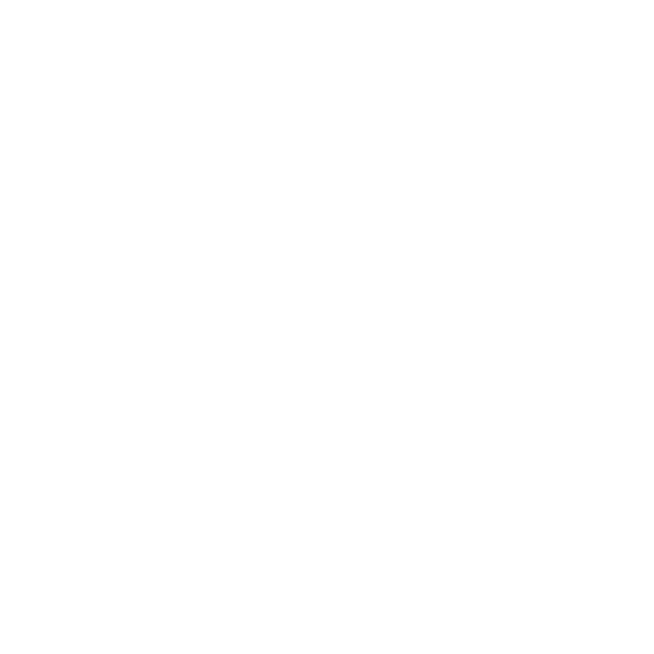 Mitsubishi Motors